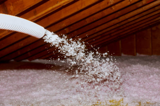 Best Basement Insulation  in Greenacres, FL